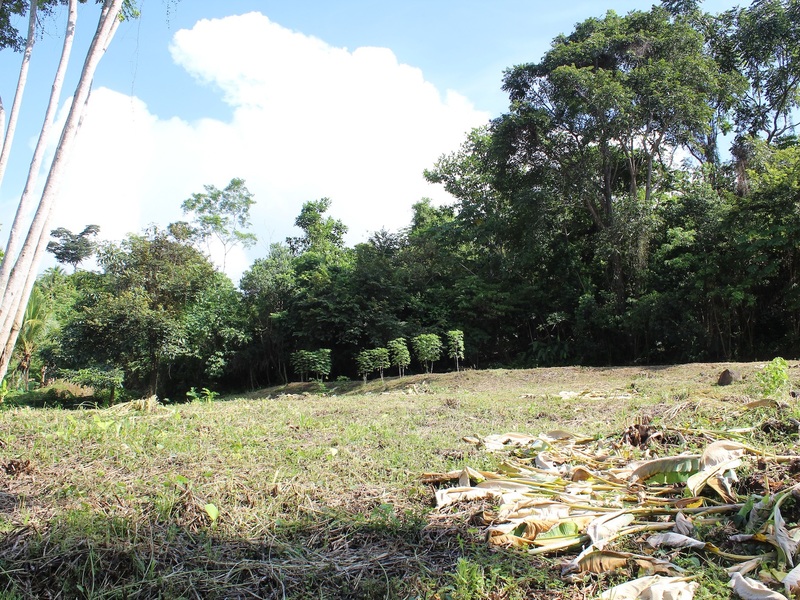 Land For Sale in Ojochal Costa Rica